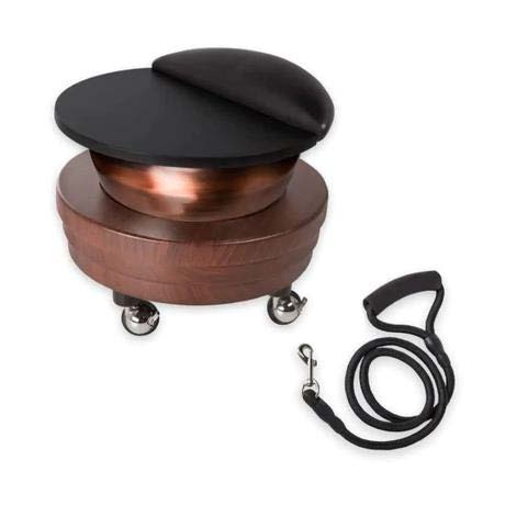 Venus Foot Bowl Ritual